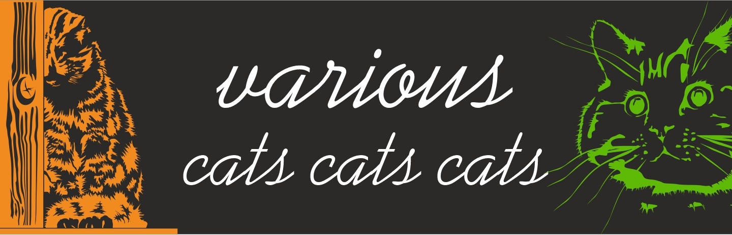 various cats cats cats banner
